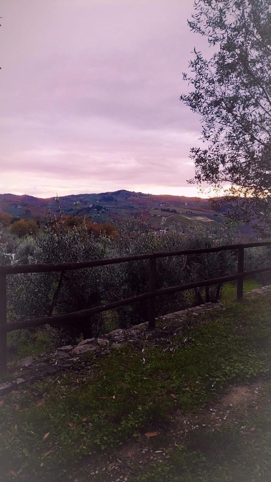 Agriturismo La Camporena Greve in Chianti Exterior foto
